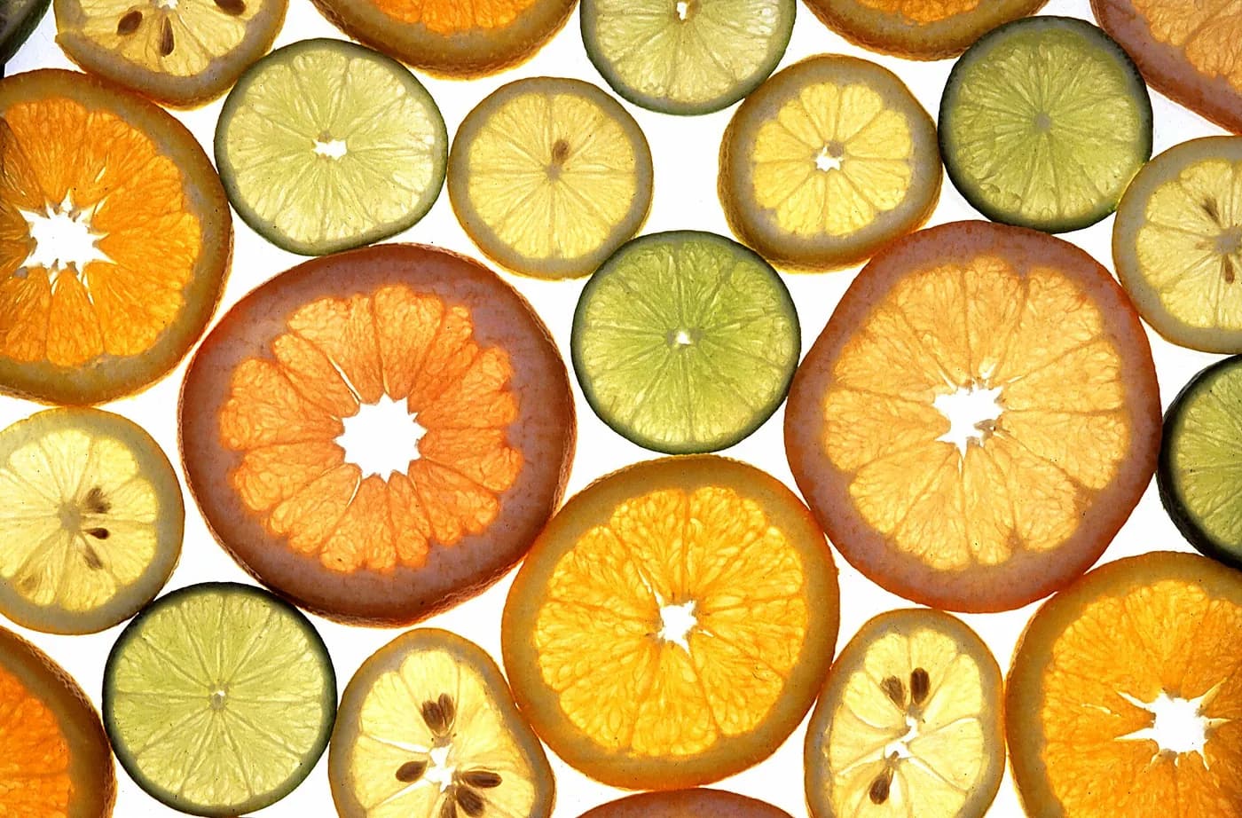 Citrus slices laid out in a bright grid