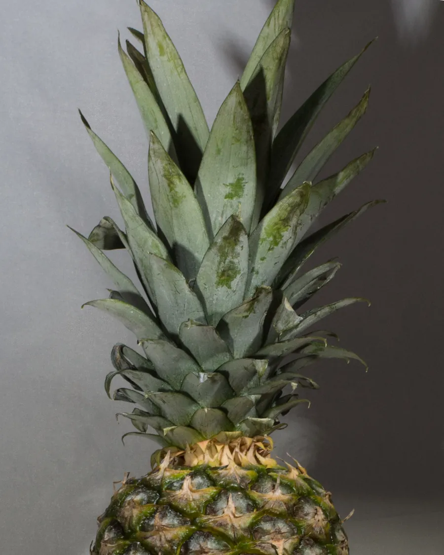 A pineapple with its crown intact