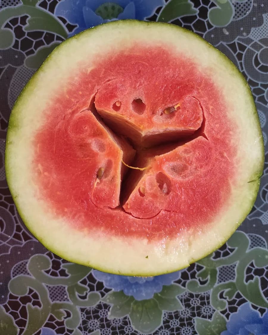 A watermelon cut open to a crisp red heart